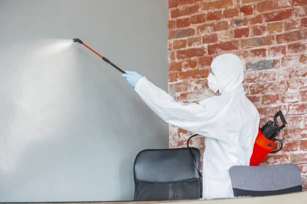 Best HVAC Mold Inspection and Cleaning  in Fortuna Foothills, AZ