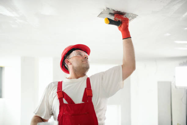 Best Emergency Mold Remediation  in Fortuna Foothills, AZ