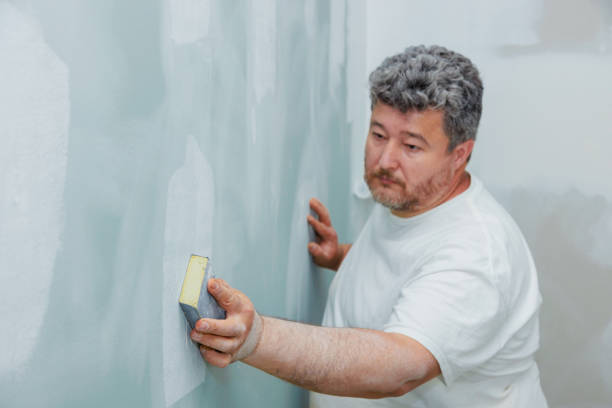 Trusted Fortuna Foothills, AZ Mold Removal Experts