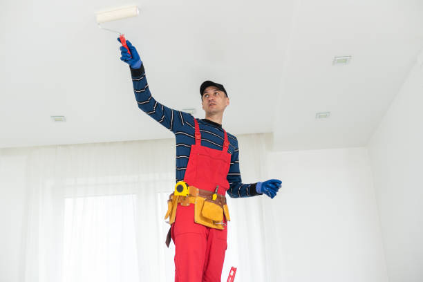 Best Mold Damage Restoration  in Fortuna Foothills, AZ