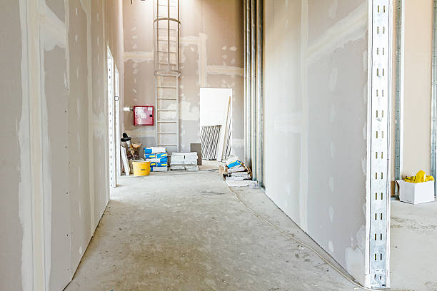 Best Attic Mold Removal  in Fortuna Foothills, AZ