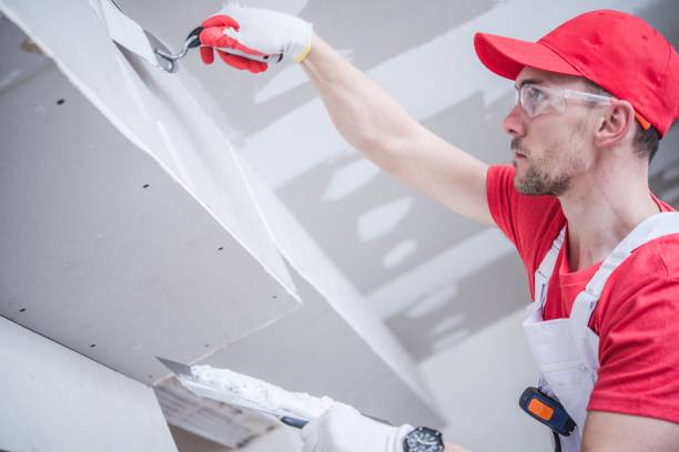 Mold Odor Removal Services in Fortuna Foothills, AZ